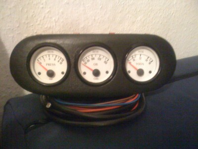 halter a.JPG