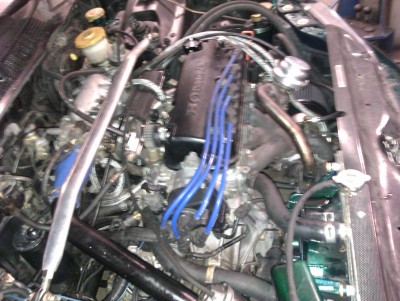 IMAG0091.jpg