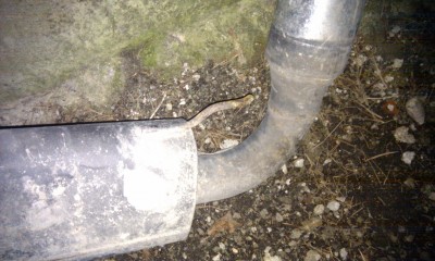 IMAG0196.jpg