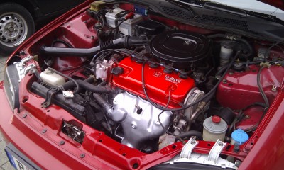 IMAG0254.jpg