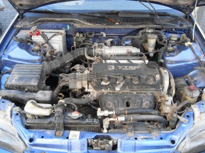 SDC13176.JPG