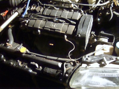 SUC51735.JPG