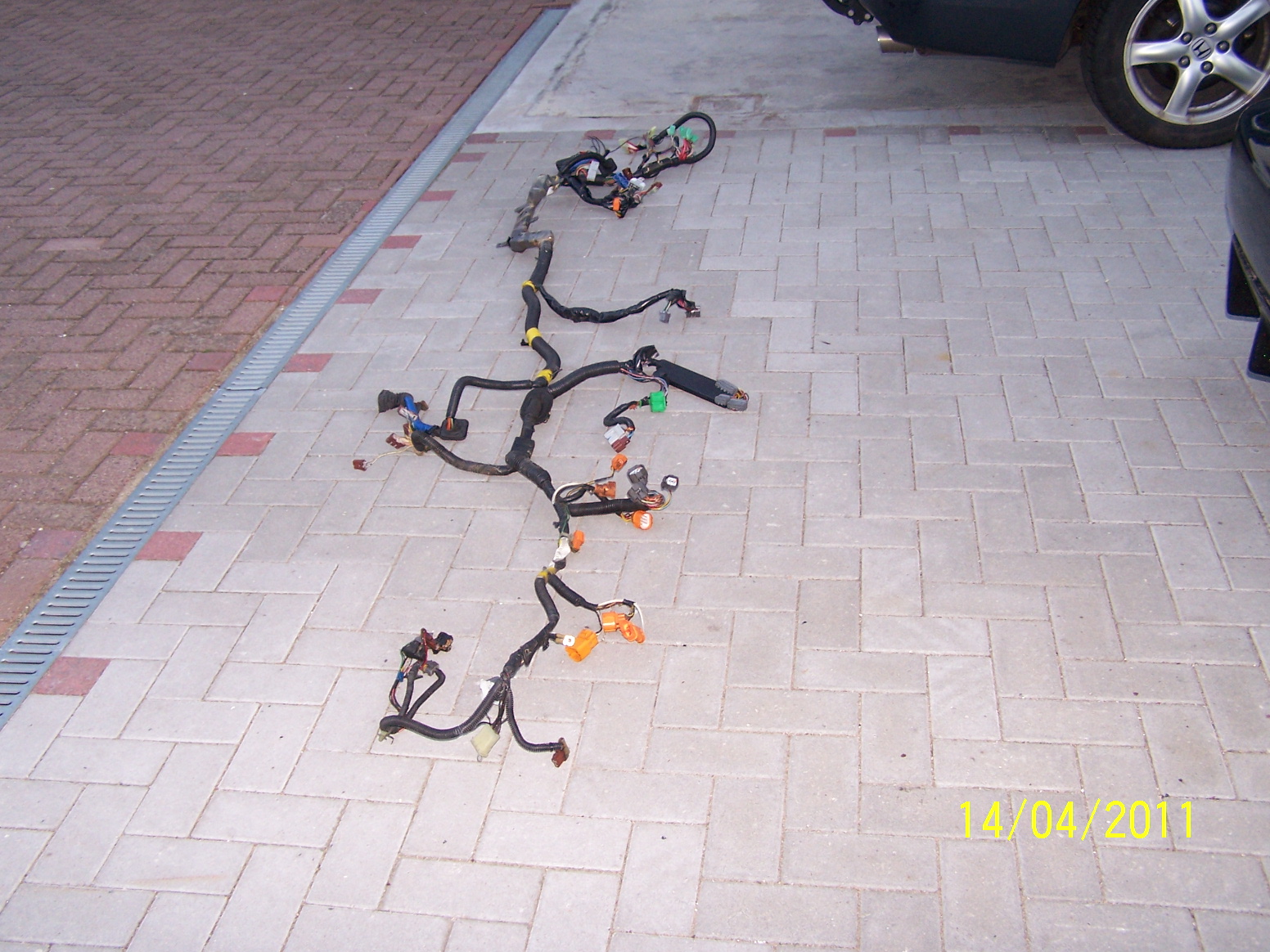 100_5075.JPG
