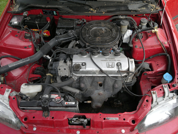 30042011052.gif
