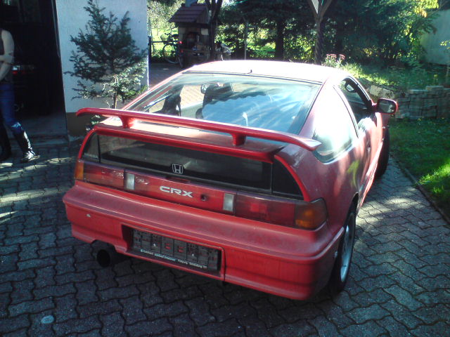 dsc00394_1286198292.jpg