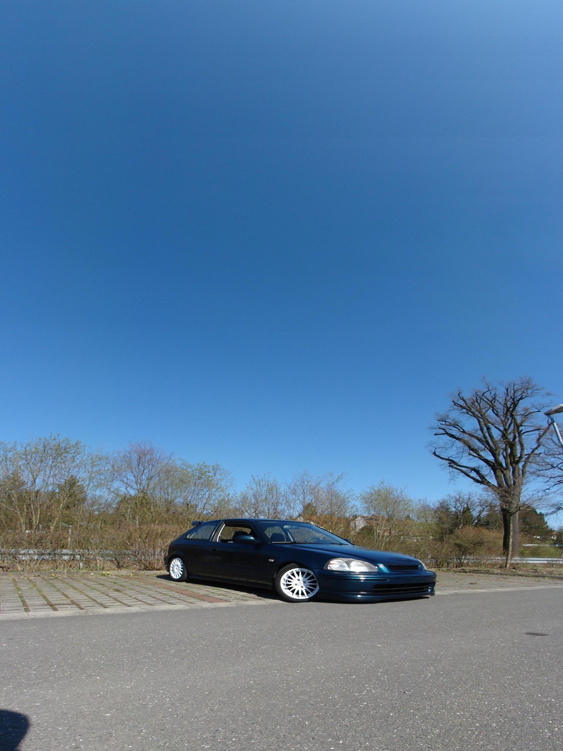 DSC01951.JPG