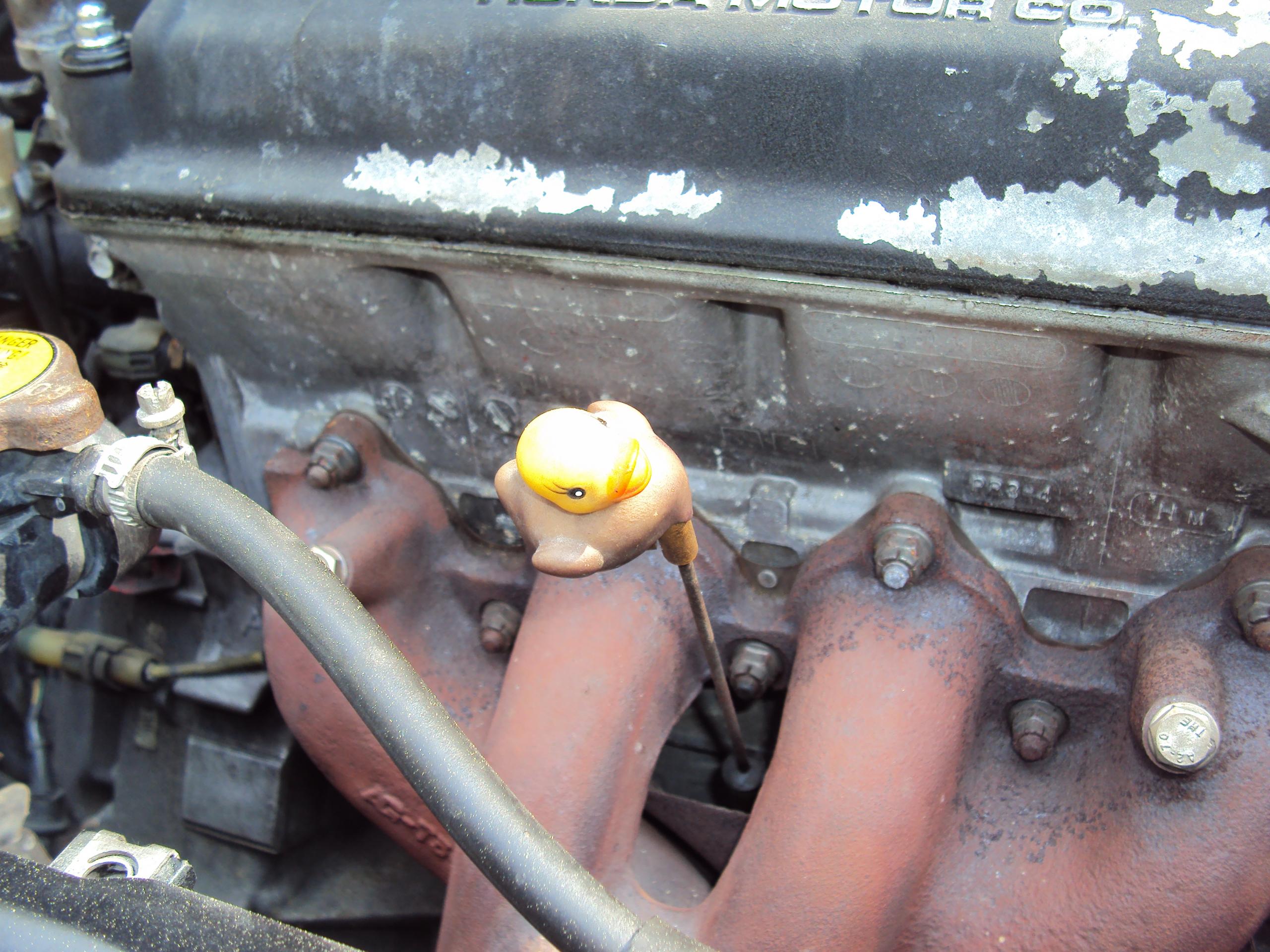 DSC06085.JPG