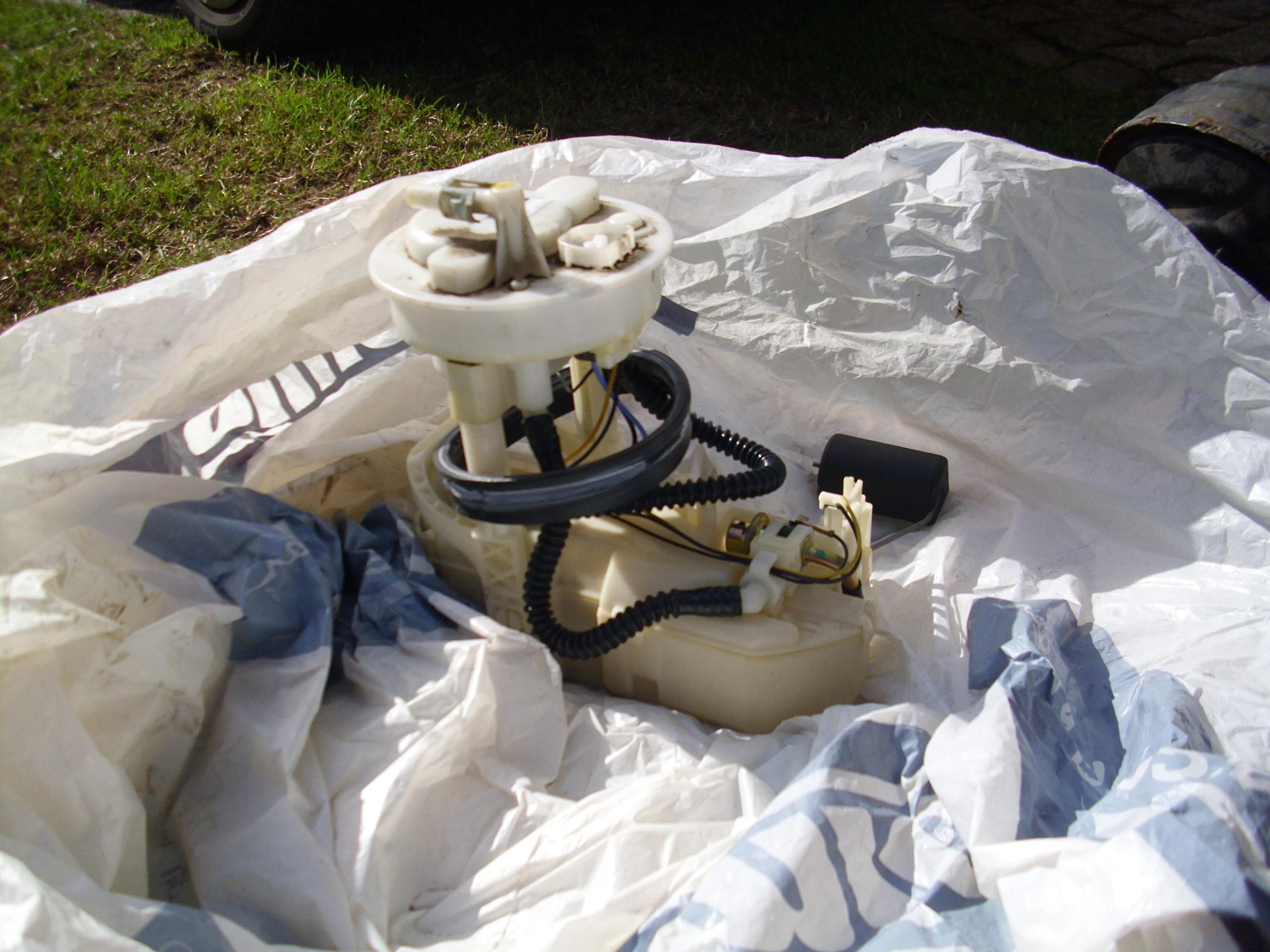 DSCI0037.JPG