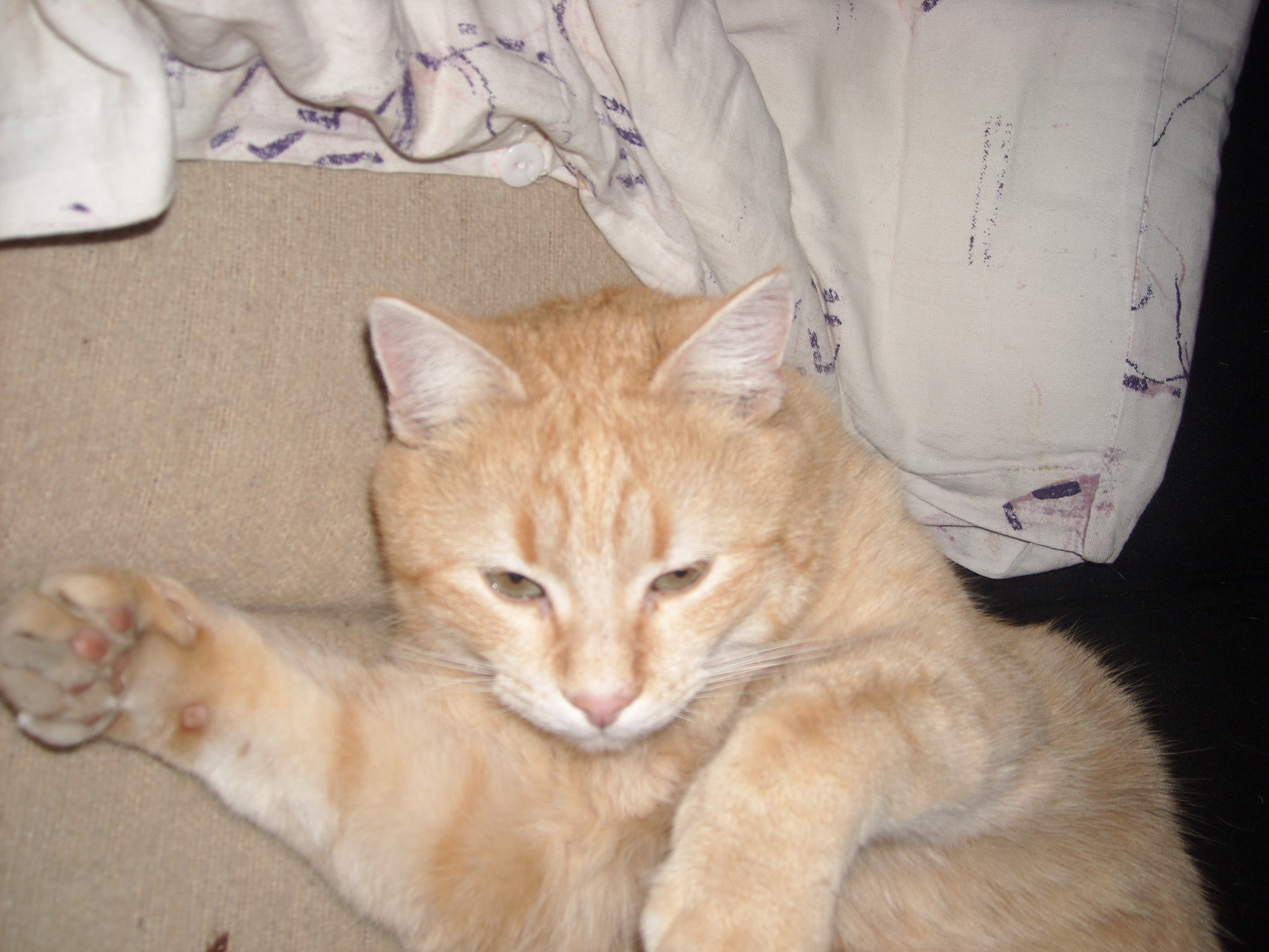 DSCN4205.JPG