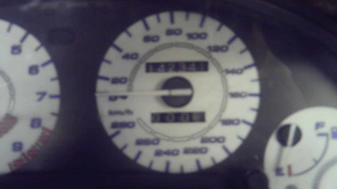 IMAG0040.JPG