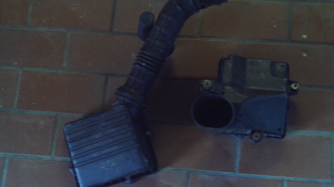 IMAG0041.JPG