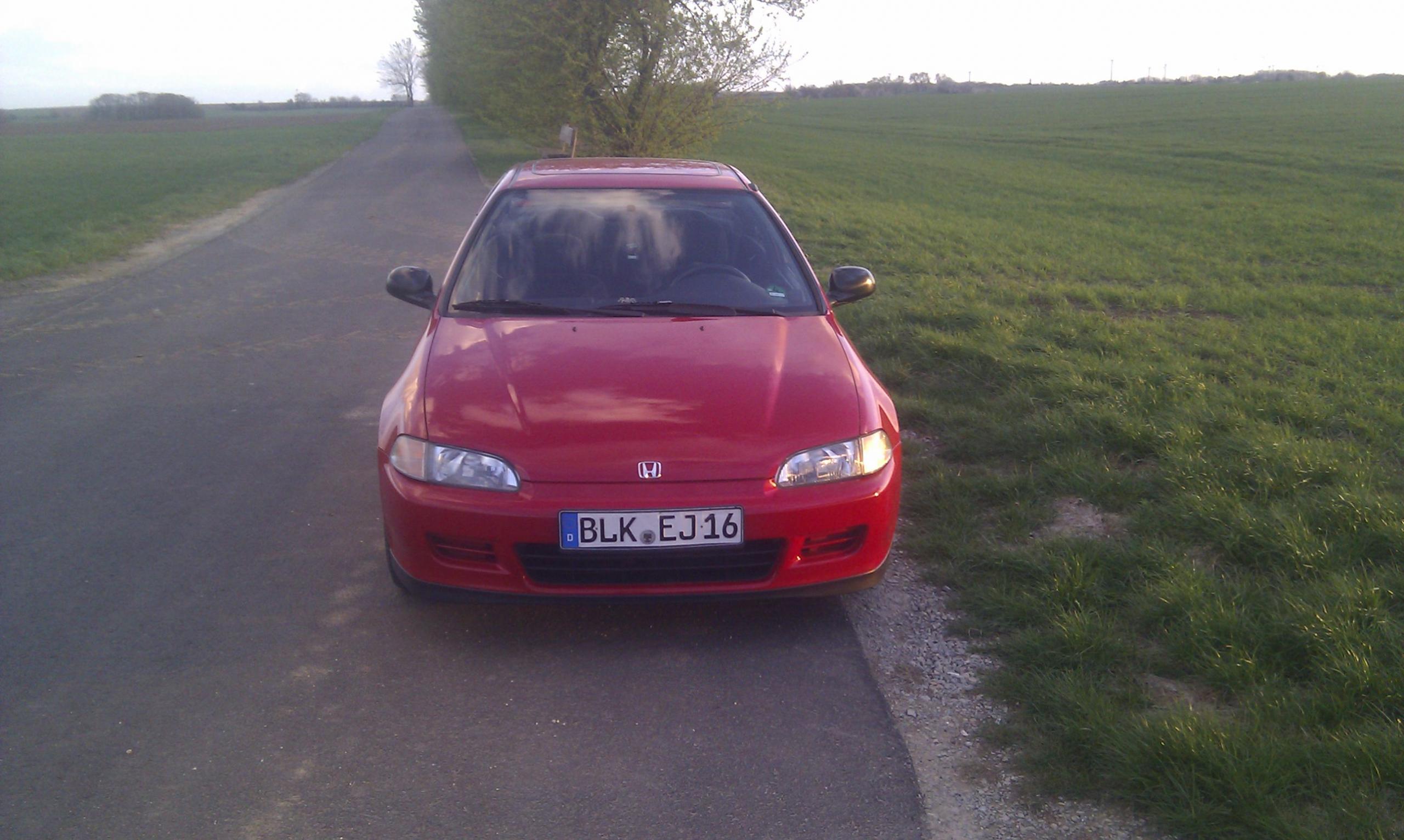 IMAG0113.jpg