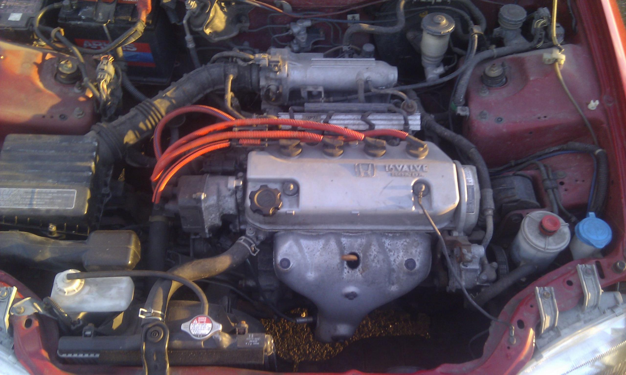 IMAG0114.jpg