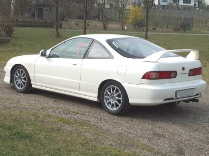 integra_3.jpg