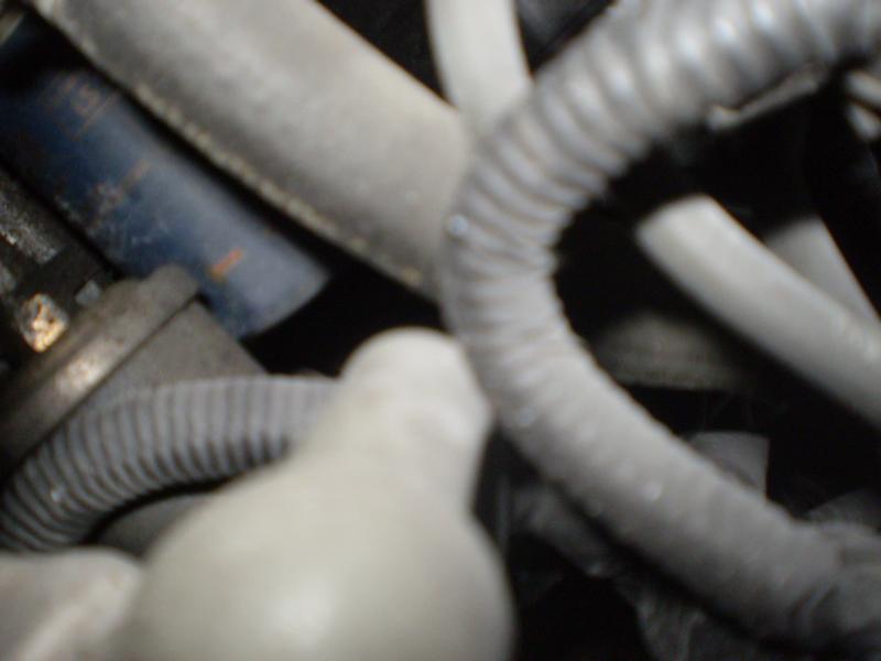 K800_P4150633.JPG