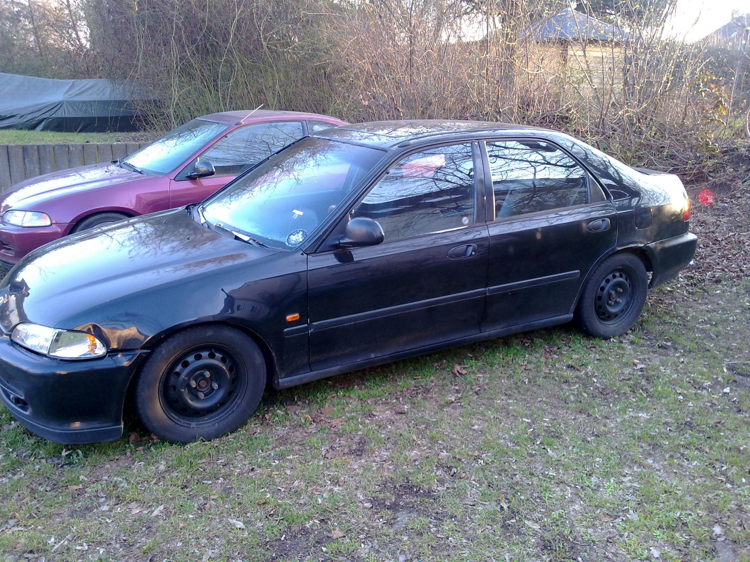 nr2_1299441382.jpg
