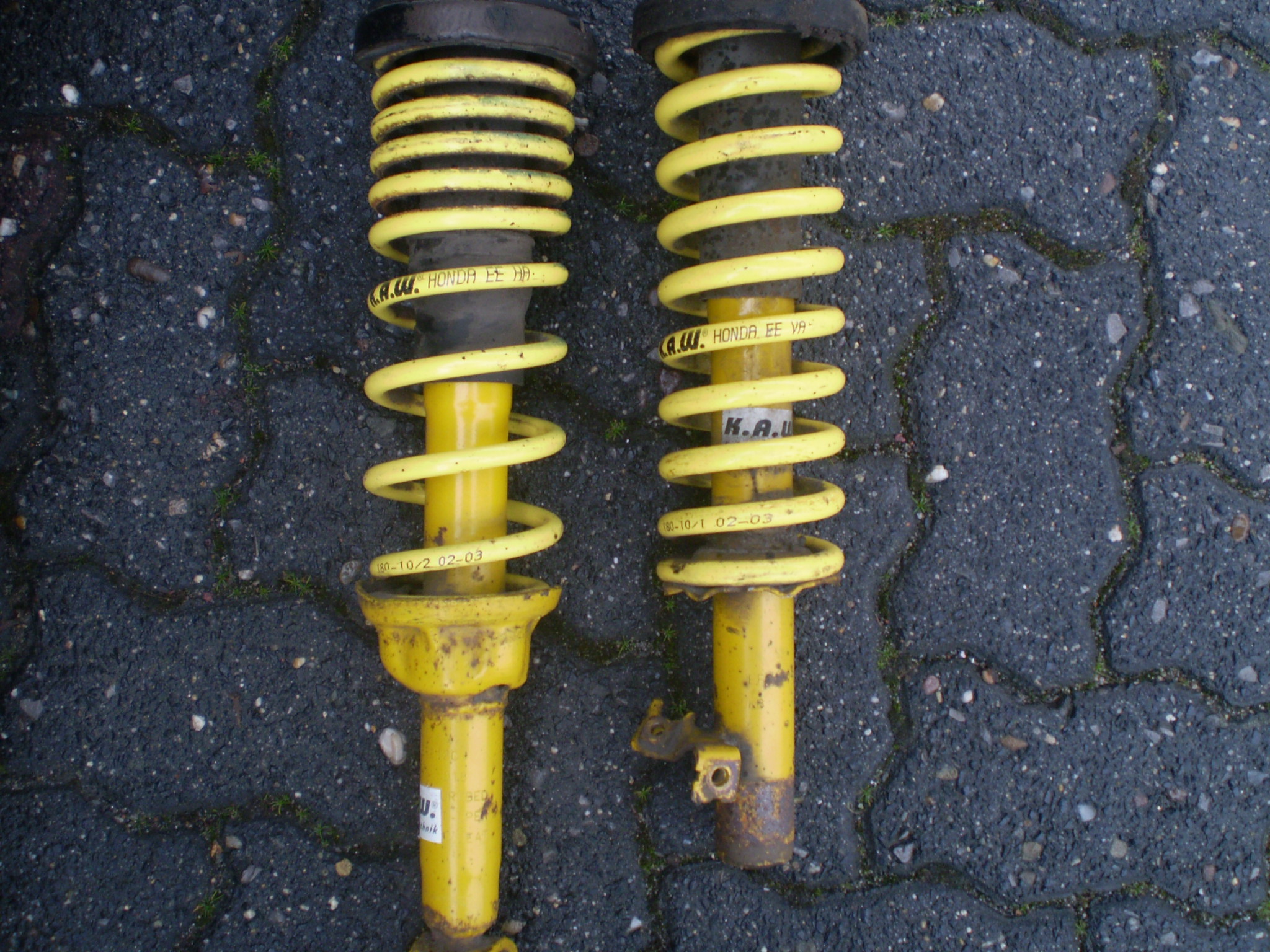 P2280033.JPG