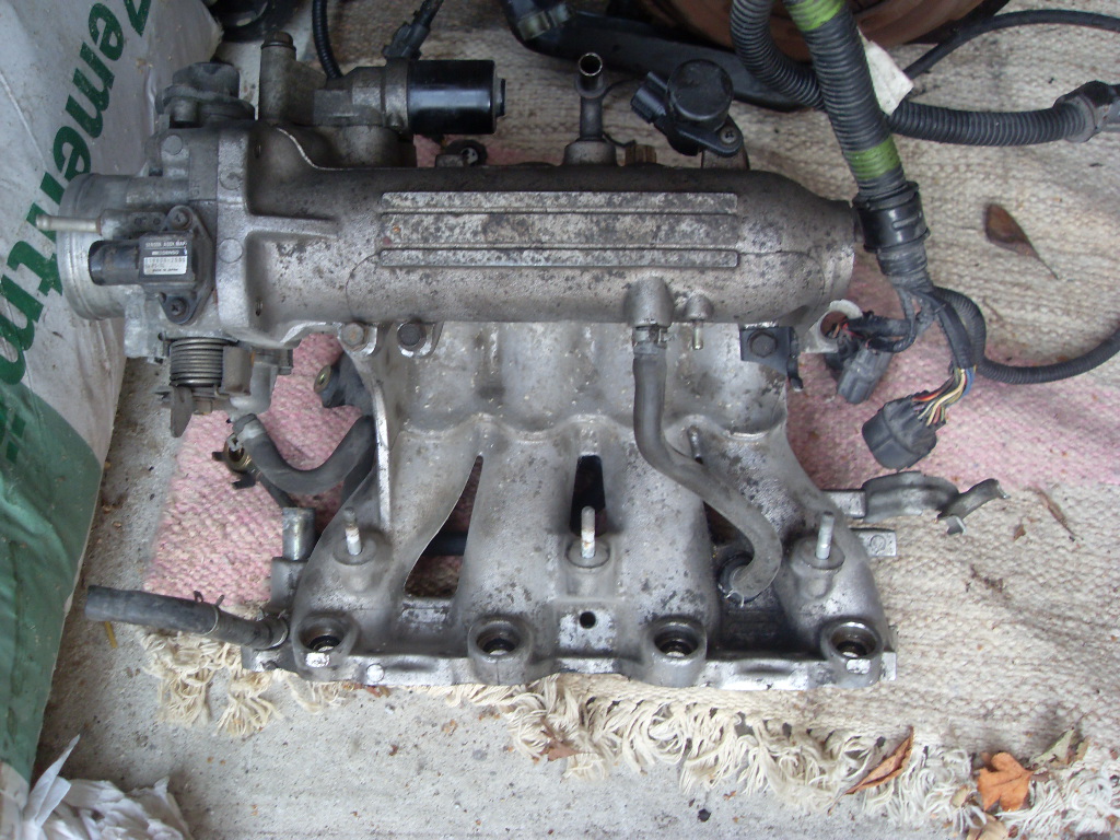 SDC10417.JPG