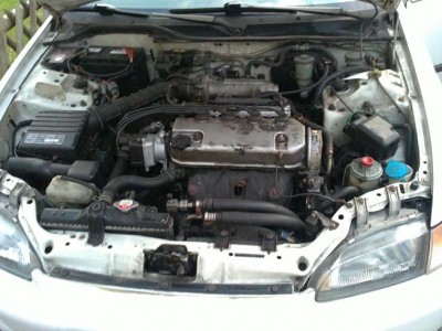 16042011190.JPG