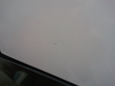 2011-04-21 17.23.57.jpg