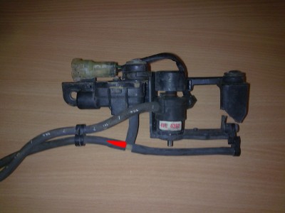 Bild1127.jpg