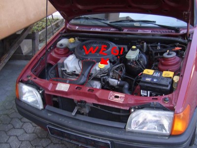 dscf5491t.jpg