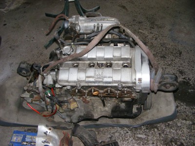 DSCF8038.JPG