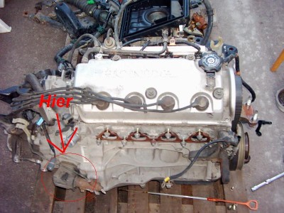 dsci0035.jpg
