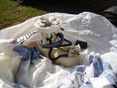 DSCI0037.JPG