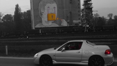 hamsi.JPG