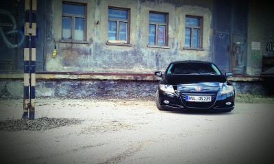 IMAG0273.jpg