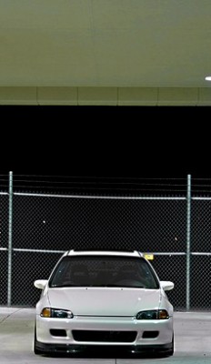 IMG_6949copy-vi.jpg