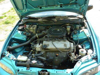 P1000646.JPG
