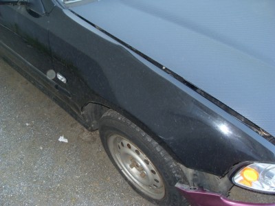 SDC10413.JPG