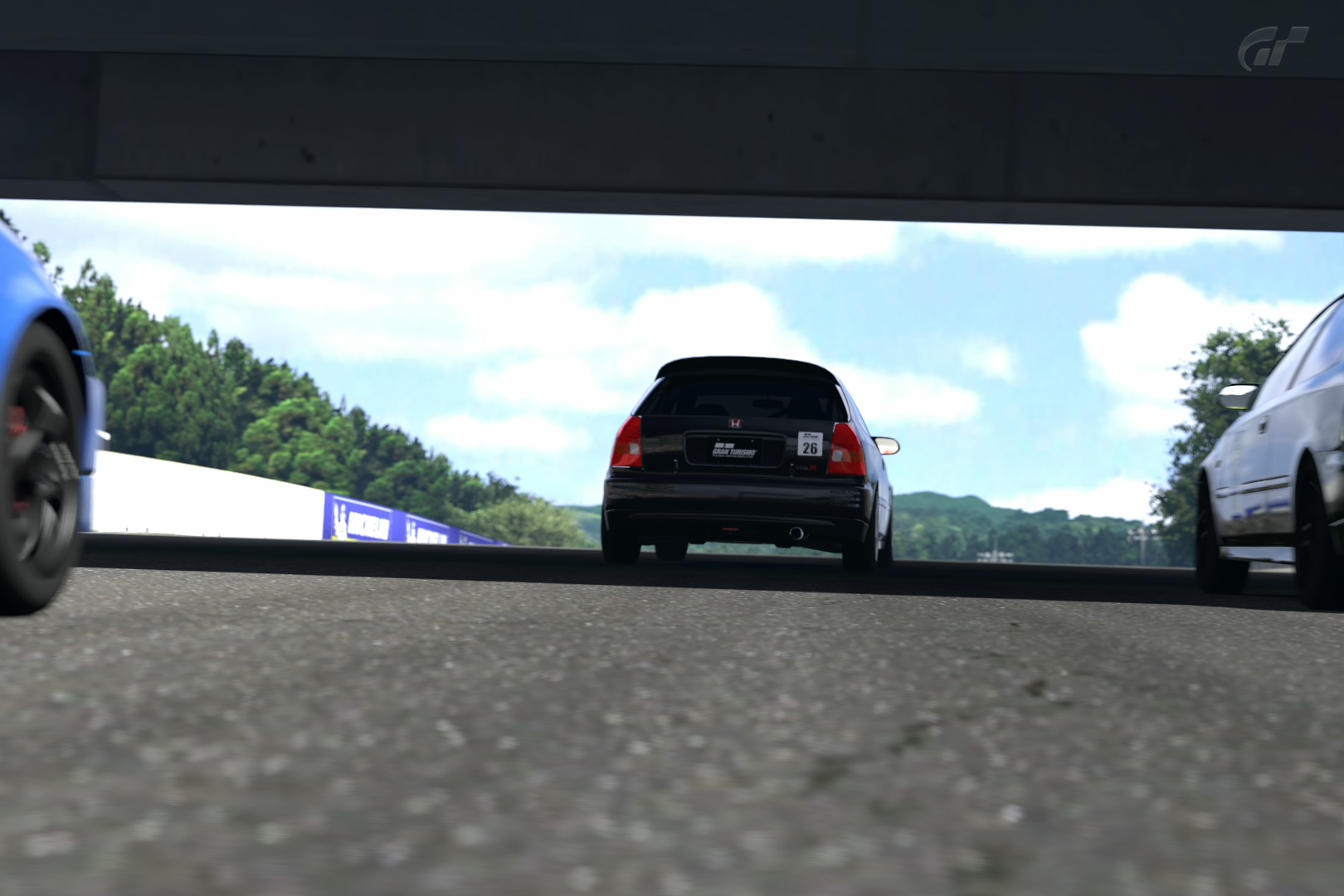 Deep Forest Raceway_1.jpg