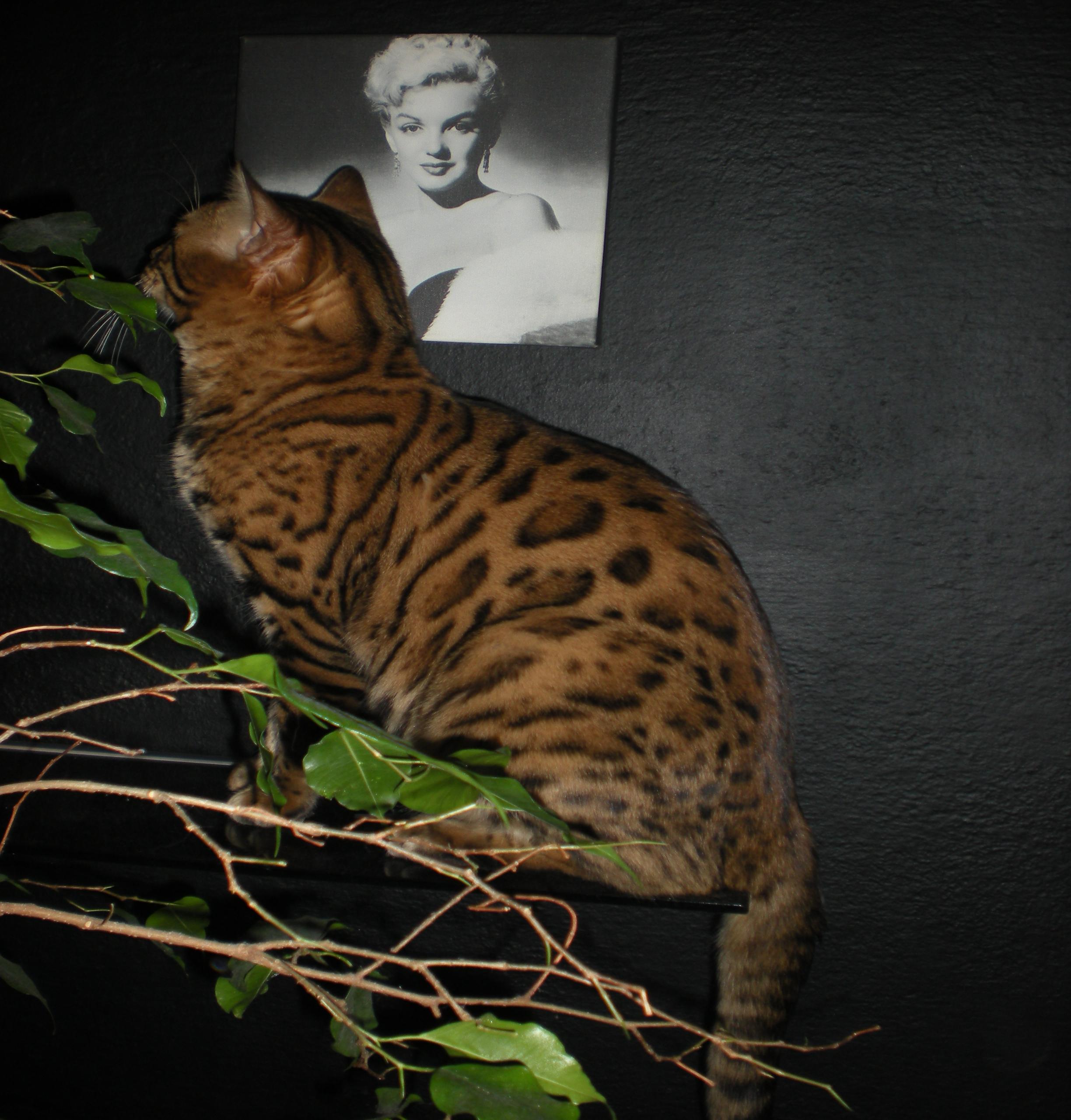 DSCN2727.JPG