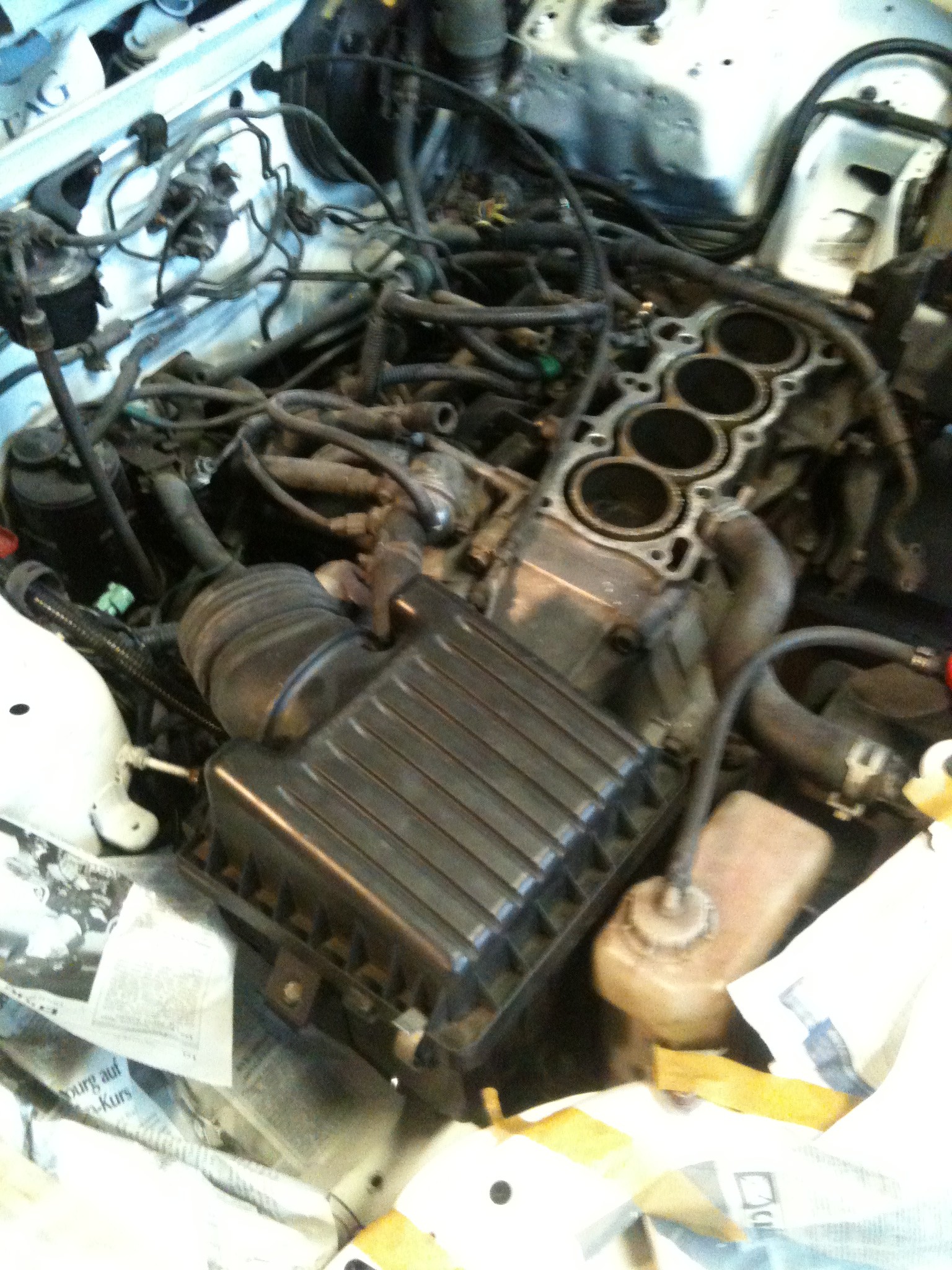 Foto1.JPG
