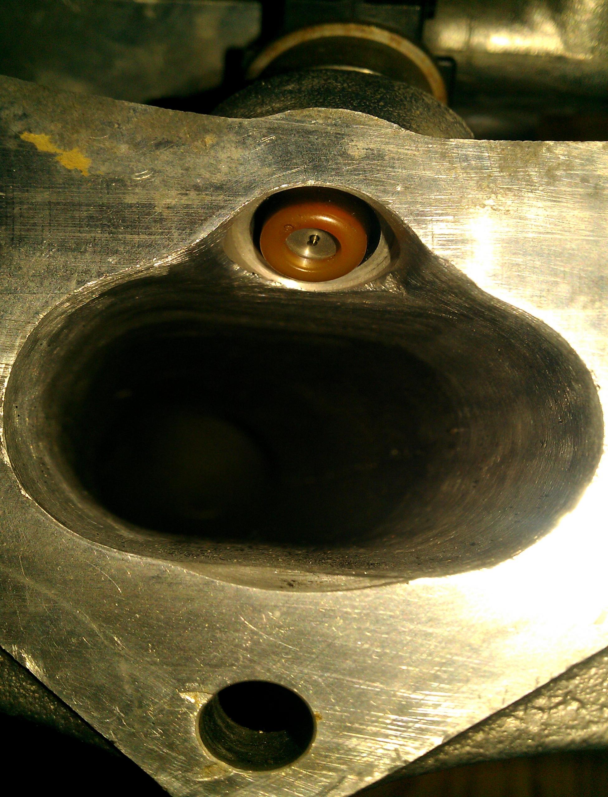 IMAG0222.jpg