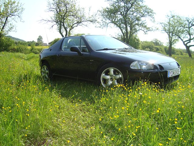 k-DSC02955.JPG