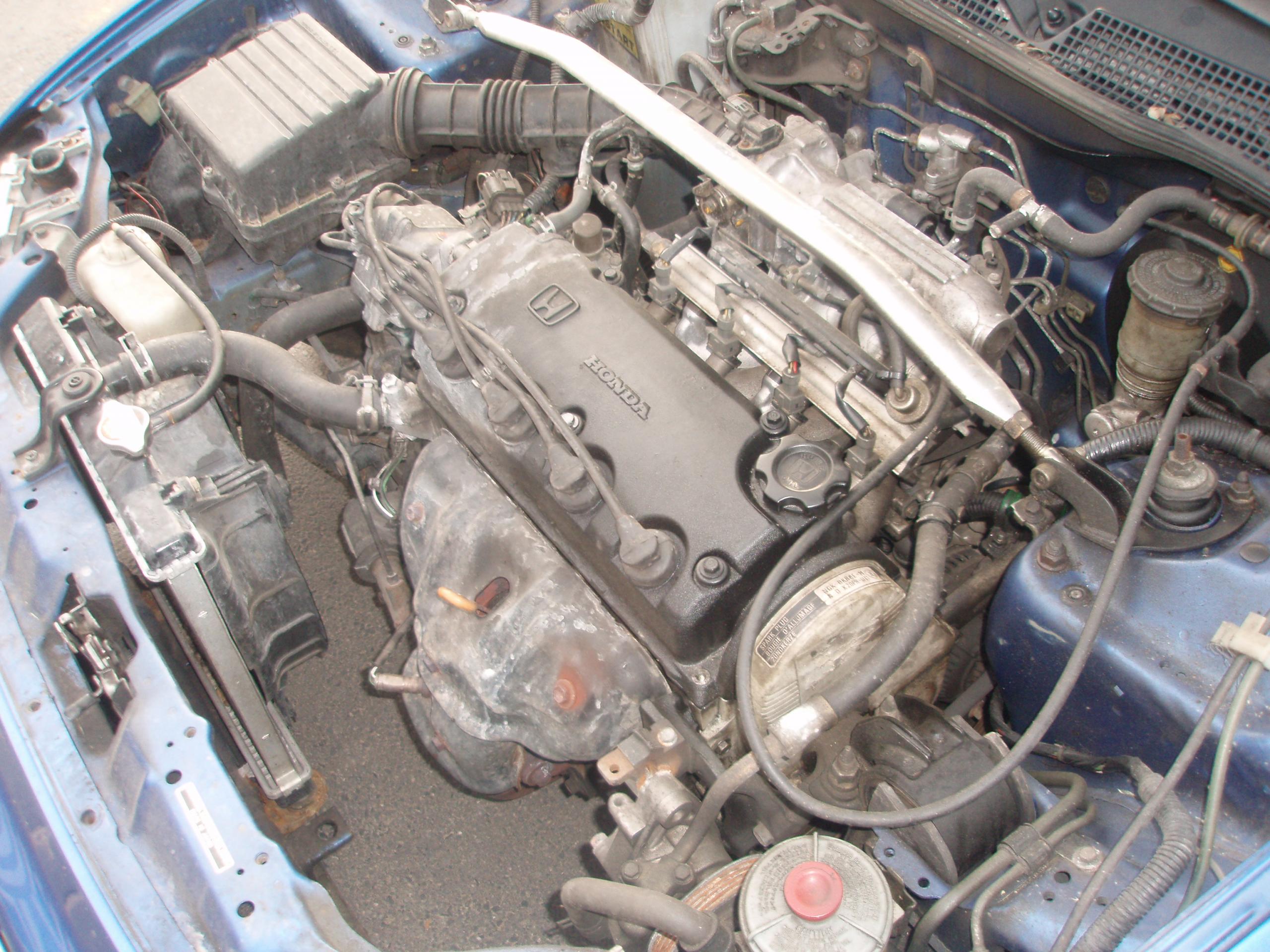 P5106999.JPG
