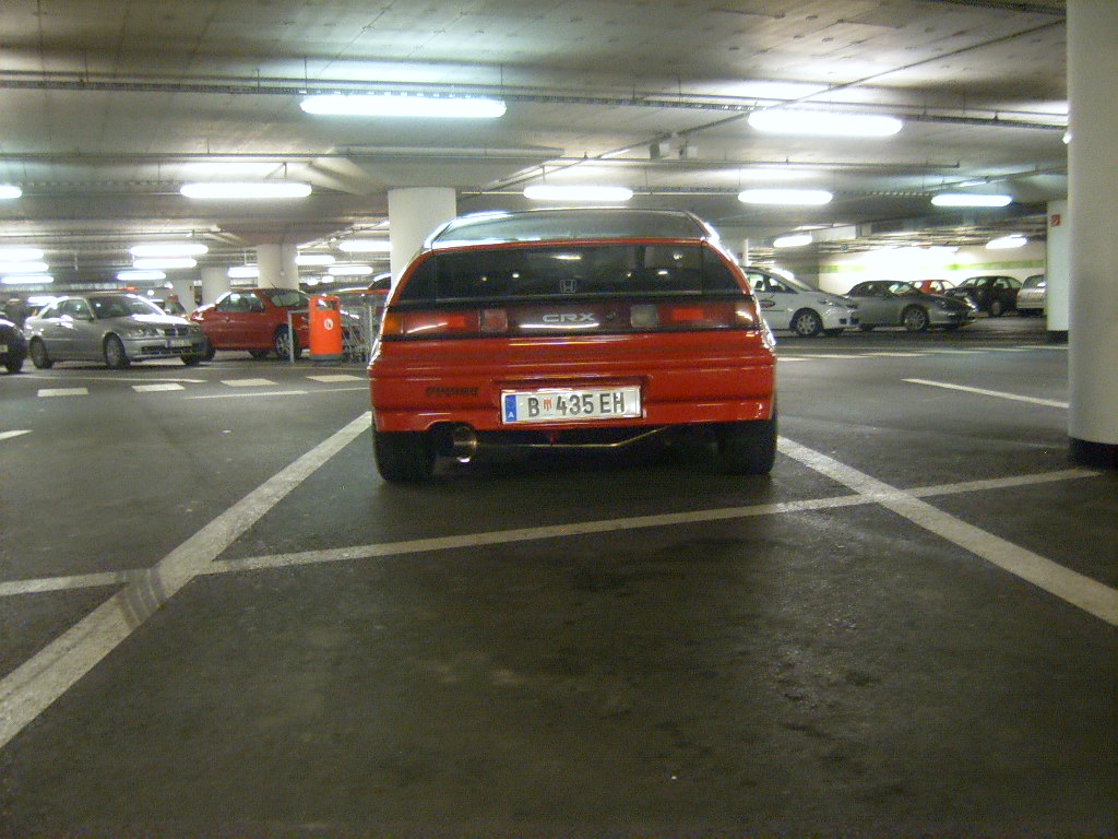 SUC51474.JPG