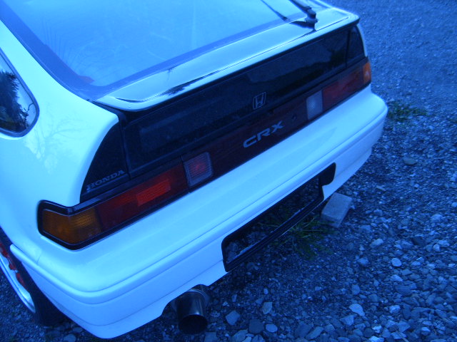 SUC51995.JPG