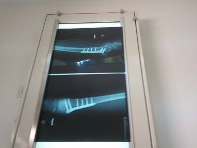 2011-04-19 10.47.39.jpg