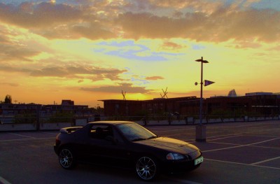 DSC03714 - Kopie.JPG