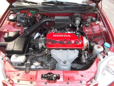DSCF0129.JPG