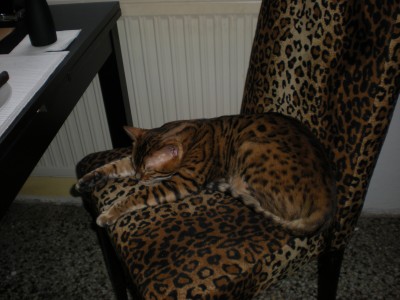 DSCN2794.JPG