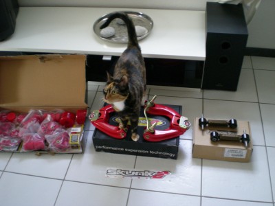 DSCN2822.jpg