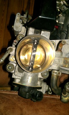 IMAG0210.jpg