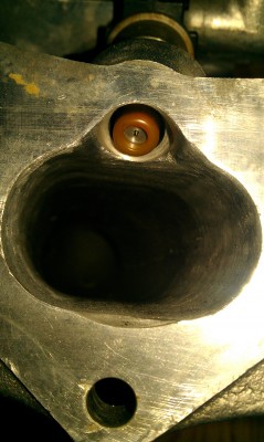 IMAG0222.jpg