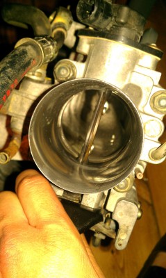 IMAG0228.jpg